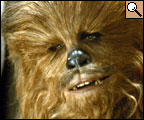 Chewbacca un cousin d'Indiana